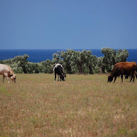 Masseria Palombara Grande Ostuni Ngoại thất bức ảnh