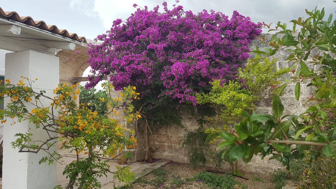 Masseria Palombara Grande Ostuni Ngoại thất bức ảnh