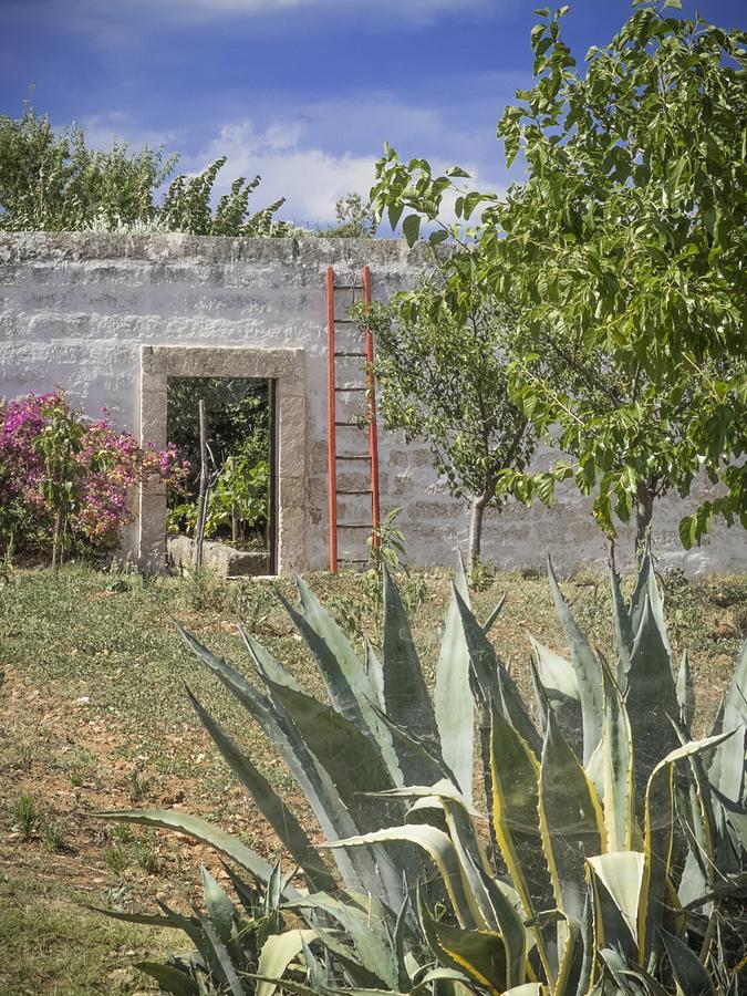 Masseria Palombara Grande Ostuni Ngoại thất bức ảnh